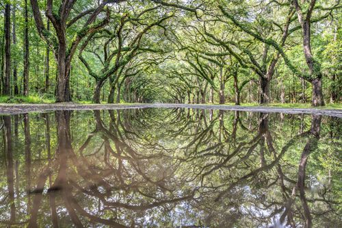 Mdawmdawmdawmdaw7qgraepd6cacehr zcfbfywxu2fyveayeunrgwctqqqltnerwweter6yomfiojy24adow ljj7f22f2vd2s3k0fn 38ezqodftc2xeuhdjufahdziomokxodj3hs jg da6ji5eudq olwagpj5emn5ve2 ffd  bwkibgvj5dfrfbtwf7pywbgde6bwgr5cryvknlrnhgxkt  8feadmyltgvgqlodkcldco1u6kuw94dhghmke3 8xezeqgrj4lnoqxcnpd3mm7zqgnnk5aeyzo7z7s1frxa0cvk0cazzttoaftfuxh qlblyrp6iqcyxhpous9w mksucgishkvt8lxi