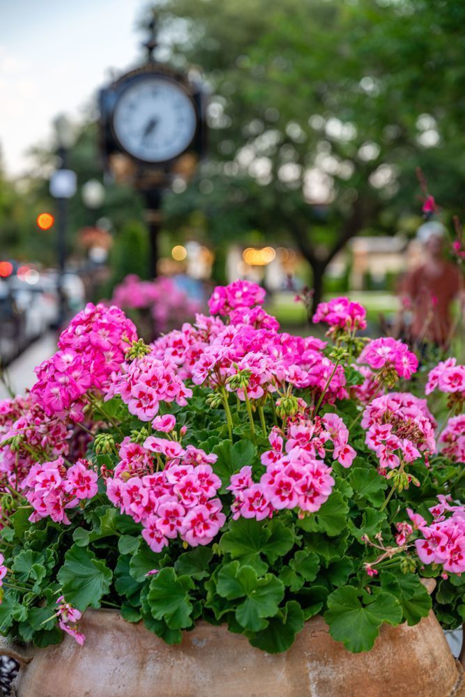 Winter Park Main Street 4 21 2024  4 9 Photography Art | kramkranphoto