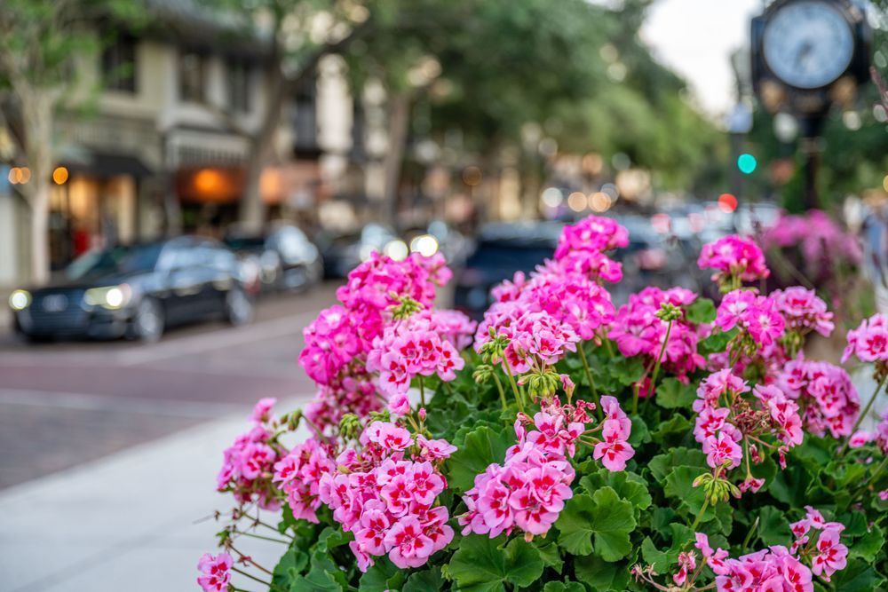 Winter Park Main Street 4 21 2024  4 10 Photography Art | kramkranphoto