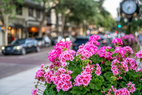 Winter Park Main Street 4 21 2024  4 10 Photography Art | kramkranphoto