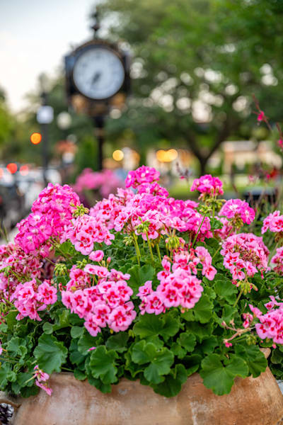 Winter Park Main Street 4 21 2024  6 9 Photography Art | kramkranphoto
