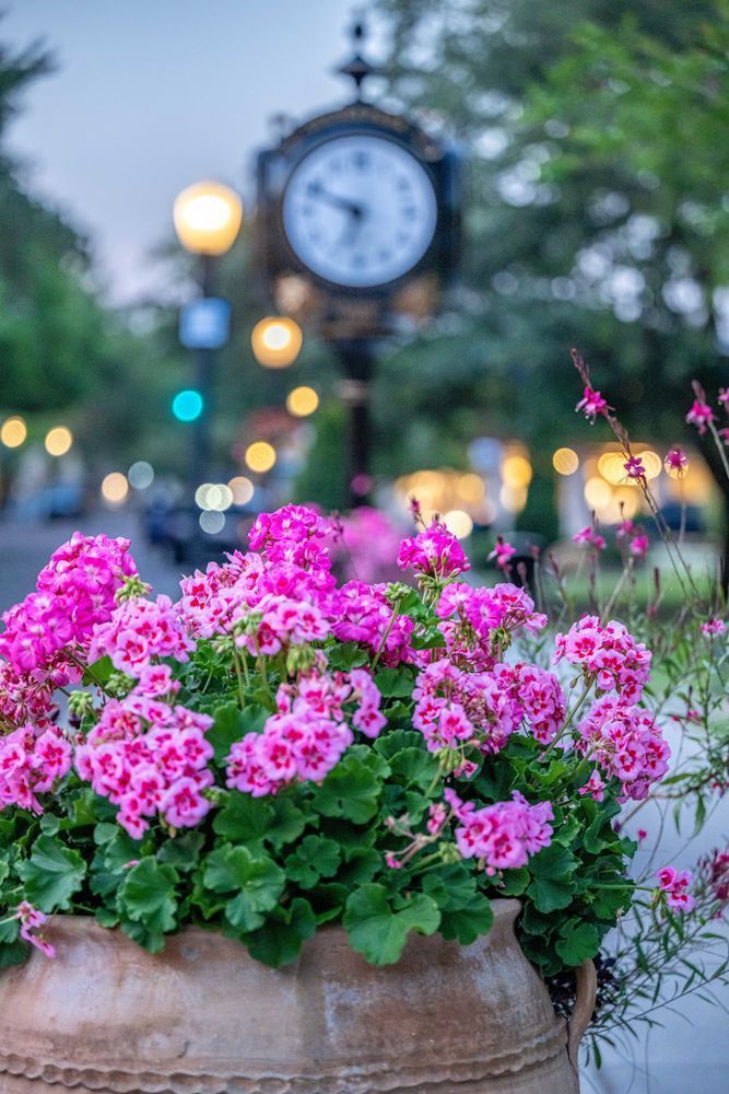 Winter Park Main Street 4 21 2024  9 17 Photography Art | kramkranphoto