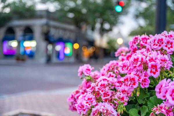 Winter Park Main Street 4 21 2024  12 12 Photography Art | kramkranphoto