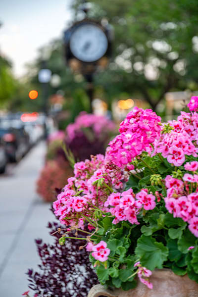 Winter Park Main Street 4 21 2024  11 8 Photography Art | kramkranphoto