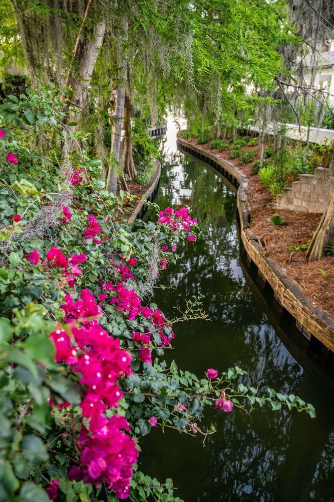 Winter Park Main Street 4 21 2024  35 5 Photography Art | kramkranphoto