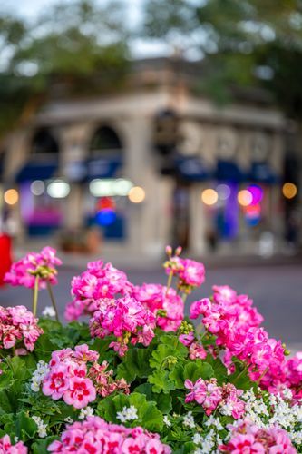 Mdawmdawmdawmdaw7qgraepd6cacehr zcfbfywxu2fyveayeunrgwctqqqltnerwweter6yomfiojy24adow ljj7f22f2vd2s3k0fn 38ezqodftc2xeuhdjufahdziomokxodj3hs jg da6ji5eudq olwagpj5emn5vfxoga8homfyybclw68zwkbdxzkty6rrwspwvwe0awidkhkpoaw0o bt5xruj12im26tpounidfdu bnqpfkx 9pmuj3axo89dpylgq5m152isy9fxyyntixhgtskswgze 1 v0wugfti4rfvmctt 9xl8bexurhxqknu4j rvqvez5bziuqbh6mnxsg