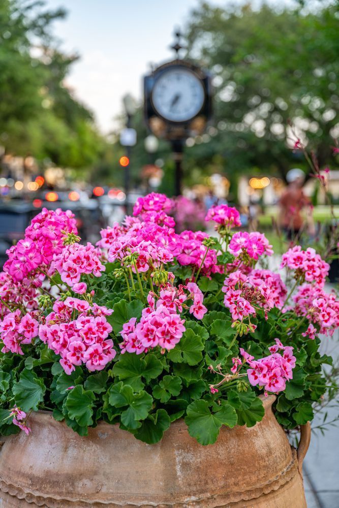 Winter Park Main Street 4 21 2024  3 9 Photography Art | kramkranphoto