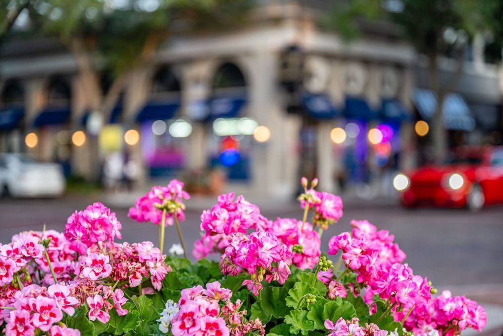 Winter Park Main Street 4 21 2024  29 4 Photography Art | kramkranphoto