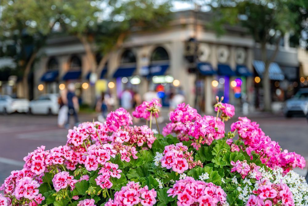 Winter Park Main Street 4 21 2024  22 5 Photography Art | kramkranphoto