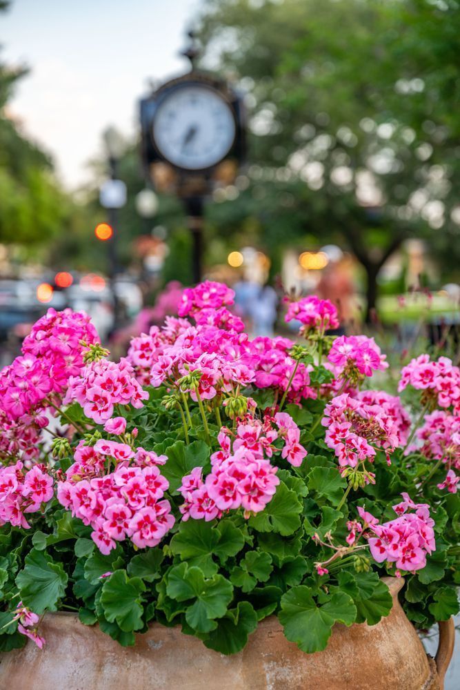 Winter Park Main Street 4 21 2024  2 9 Photography Art | kramkranphoto