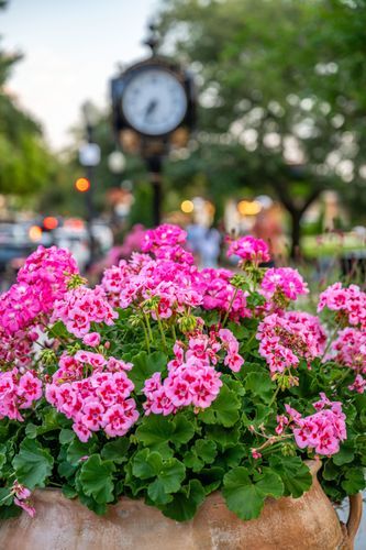 Mdawmdawmdawmdaw7qgraepd6cacehr zcfbfywxu2fyveayeunrgwctqqqltnerwweter6yomfiojy24adow ljj7f22f2vd2s3k0fn 38ezqodftc2xeuhdjufahdziomokxodj3hs jg da6ji5eudq olwagpj5emn5vfxoga8homfyybclw68zwkbdxzkty6rrwspwvwe0awidkhktsf2e98ucxsl tywqk06vmo dmceaq4g6vm dn clptyjj2faxy4sjgbm3z ycem5oqjpfrjqjh9cgvl49dbdzs0ihba1q7hrvlcq45dfb7fspxb1xd2nob8m8nh9evw9uxij5fo2ufg