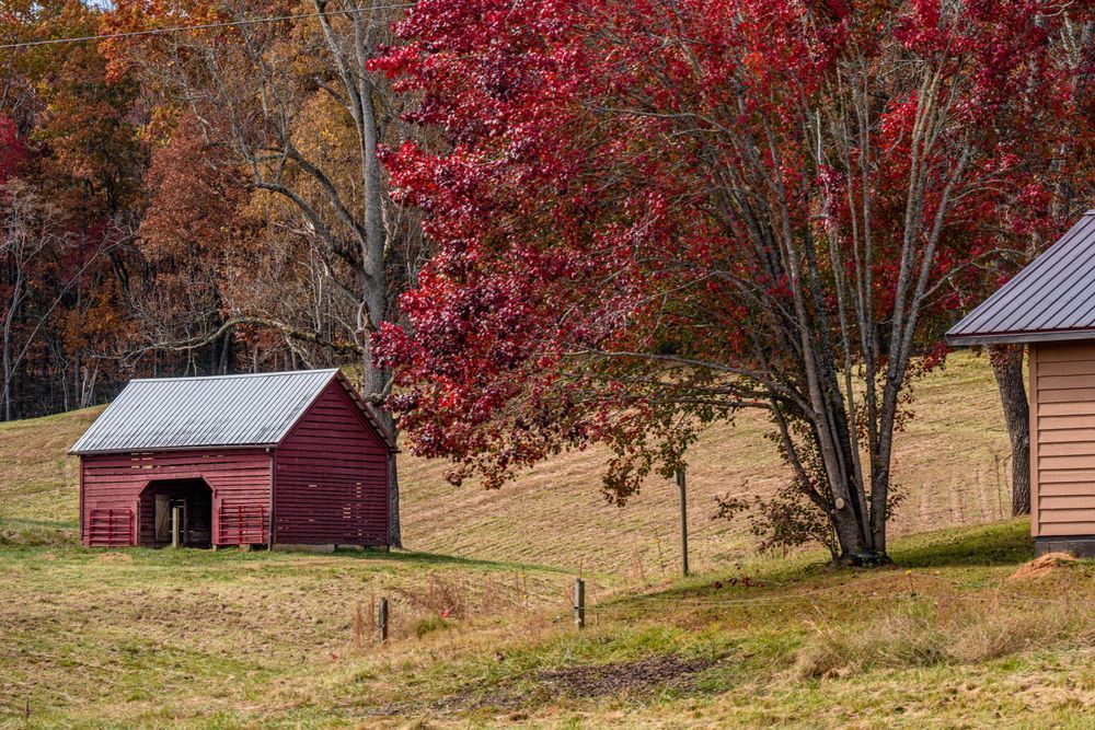 Big Red On Red Photography Art | kramkranphoto