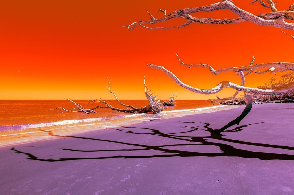 Talbotico Photography Art | kramkranphoto