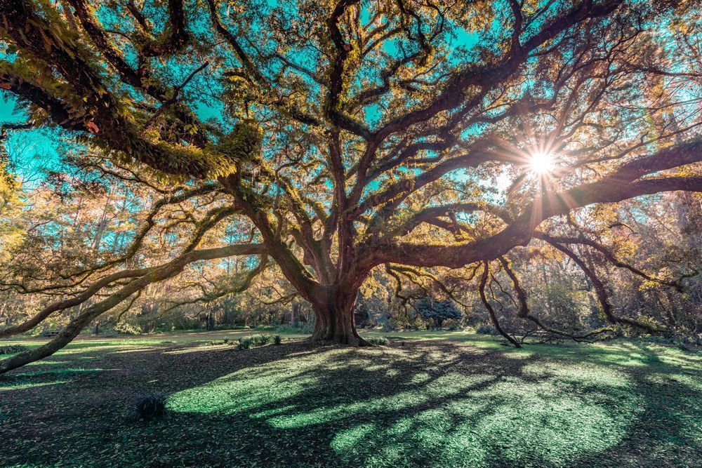 Lichgate Light Photography Art | kramkranphoto