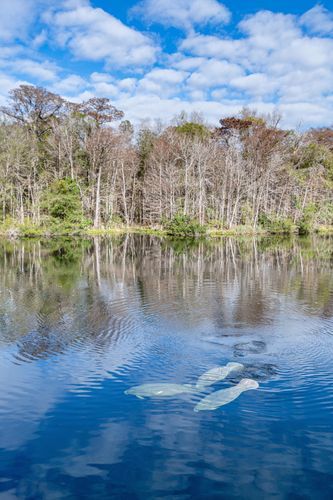 Mdawmdawmdawmdaw7qgraepd6cacehr zcfbfywxu2fyveayeunrgwctqqqltnerwweter6yomfiojy24adow ljj7f22f2vd2s3k0fn 38ezqodftc2xeuhdjufahdziomokxodj3hs jg da6ji5eudq olwagpj5emn5wdxgeb9vwe06pyilp mzikgk3ivylrbqabqpxebqfw4v9ma9gfwpprvijv7lg1hfpmpyxcle8tamb5gdicayxsfn8hi3uxo1ylcaghw18gyxvemvzrcsv4drf2435dl5mprtisgdzrl9apnkydda1dwnrjerjfcggmoikta