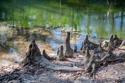 Mdawmdawmdawmdaw7qgraepd6cacehr zcfbfywxu2fyveayeunrgwctqqqltnerwweter6yomfiojy24adow ljj7f22f2vd2s3k0fn 38ezqodftc2xeuhdjufahdziomokxodj3hs jg da6ji5eudq olwagpj5emn5wdxgeb9vwe06pyilp mzikgk3ivcjp7qvb7b1hqyfw4v9ma9gfwtjrfijv7lg1hfpmpyxcle8tamb5gdicayxsfn8hi3uxo1ylcaghw18gyxvemvzrcsv4drf2435dl5mprtisgdzrl9apnkywbwbdkrl5wreeo87gnoydq