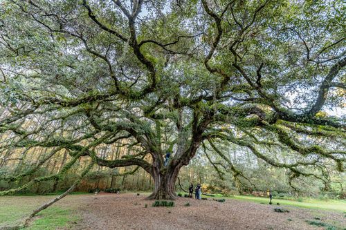 Mdawmdawmdawmdaw7qgraepd6cacehr zcfbfywxu2fyveayeunrgwctqqqltnerwweter6yomfiojy24adow ljj7f22f2vd2s3k0fn 38ezqodftc2xeuhdjufahdziomokxodj3hs jg da6ji5eudq olwagpj5emn5wdxgeb9vwe06pyilp mzikgk3ivclr7qxevf8de0fw4v9ma9gfwthqvijv7lg1hfpmpyxcle8tamb5gdicayxsfn8hi3uxo1ylcaghw18gyxvemvzrcsv4drf2435dl5mprtisgdzrl9apnky7rzohehttulrbsk2oywslg