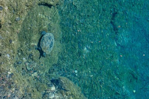 Mdawmdawmdawmdaw7qgraepd6cacehr zcfbfywxu2fyveayeunrgwctqqqltnerwweter6yomfiojy24adow ljj7f22f2vd2s3k0fn 38ezqodftc2xeuhdjufahdziomokxodj3hs jg da6ji5eudq olwagpj5emn5wdxgeb9vwe06pyilp mzikgk3jf0mrlqpvffqhbafw4v9ma9gfwxirfijv7lg1hfpmpyxcle8tamb5gdicayxsfn8hi3uxo1ylcaghw18gyxvemvzrcsv4drf2435dl5mprtisgdzrl9apnkydmcygenamjjgocfmqcyfwg