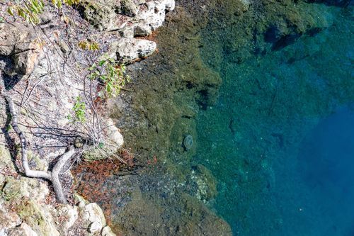 Mdawmdawmdawmdaw7qgraepd6cacehr zcfbfywxu2fyveayeunrgwctqqqltnerwweter6yomfiojy24adow ljj7f22f2vd2s3k0fn 38ezqodftc2xeuhdjufahdziomokxodj3hs jg da6ji5eudq olwagpj5emn5wdxgeb9vwe06pyilp mzikgk3jf0mrbqbc b7akkfw4v9ma9gfwxiovijv7lg1hfpmpyxcle8tamb5gdicayxsfn8hi3uxo1ylcaghw18gyxvemvzrcsv4drf2435dl5mprtisgdzrl9apnkygtsdabokir3qqymh2lurta