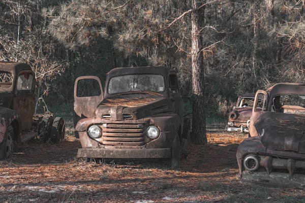 Hidden In The Midst Photography Art | kramkranphoto