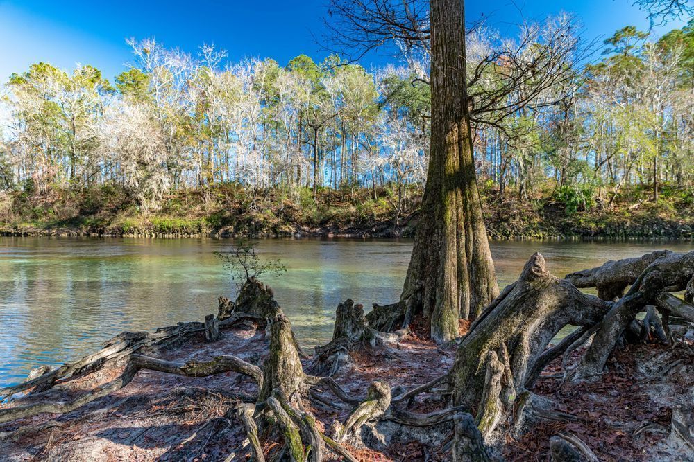 Suwannee Sights Photography Art | kramkranphoto