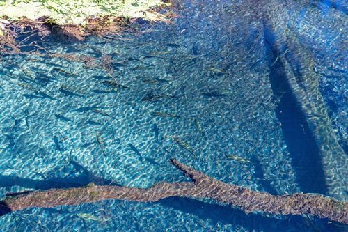 Mdawmdawmdawmdaw7qgraepd6cacehr zcfbfywxu2fyveayeunrgwctqqqltnerwweter6yomfiojy24adow ljj7f22f2vd2s3k0fn 38ezqodftc2xeuhdjufahdziomokxodj3hs jg da6ji5eudq olwagpj5emn5wdxgeb9vwe06pyilp mzikgk3jfwlrrqjckothqwfw4v9ma9gfwxgqvijv7lg1hfpmpyxcle8tamb5gdicayxsfn8hi3uxo1ylcaghw18gyxvemvzrcsv4drf2435dl5mprtisgdzrl9apnkyanpgjoe6dof5pffrxh9frg