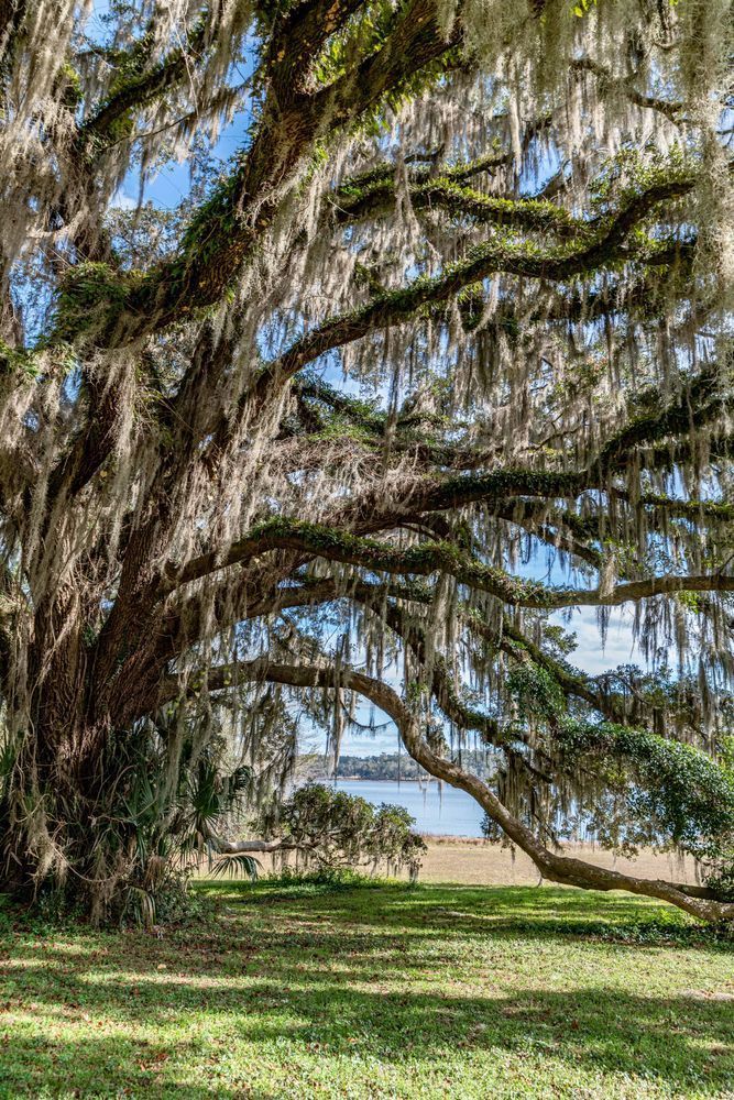 Magnificent Maclay Photography Art | kramkranphoto