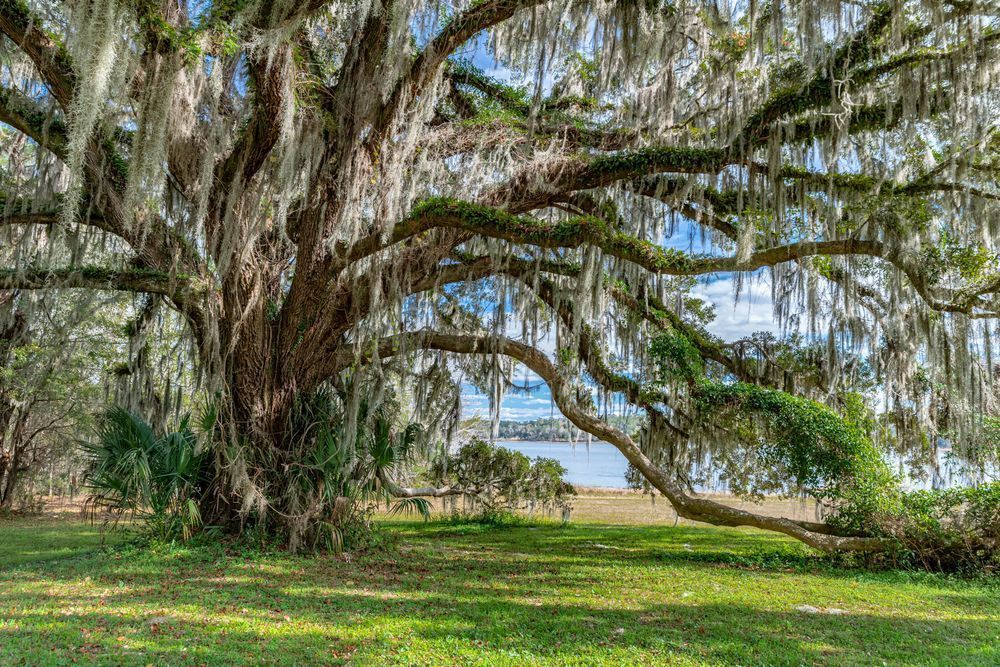 Maclay Majesty Photography Art | kramkranphoto