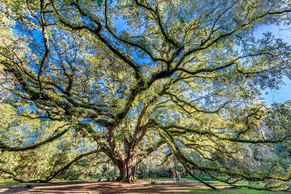 Lichgate Large Photography Art | kramkranphoto