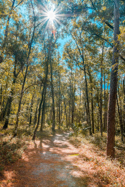 The Trails Of Rainbow Springs Photography Art | kramkranphoto