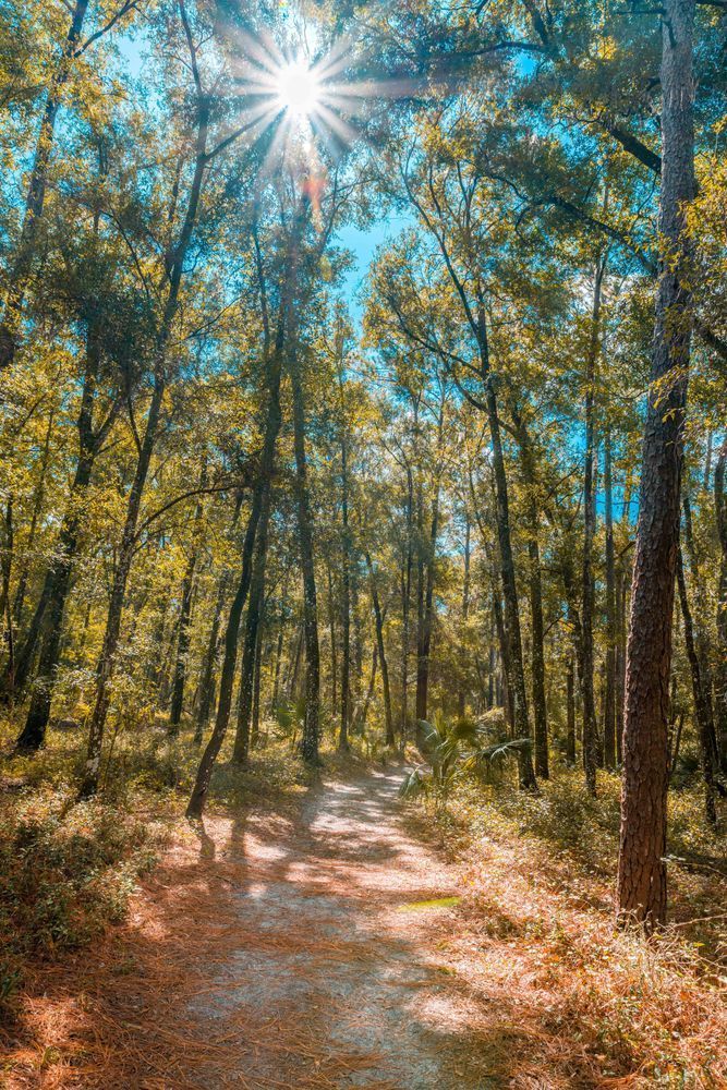 The Trails Of Rainbow Springs Photography Art | kramkranphoto