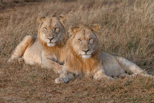 Mdawmdawmdawmdaw7qgraepd6cacehr zcfbfywxu2fyveayeunrgwctqqqltnerwweter6yomfiojy24adow ljj7f22f2vd2s3k0fn 38ezqodftc2xeuhdjufahdziomokxodj3hs jg da6ji5eudq olwagpj5emn5yyxghuf3oavglwbdt7vr1fip8eab waclcqntk ihwj599vcuqvoyrpn4eepzzgac2a3rlbujwuxwsb3 frtg7cd1us swvi zmb2lrs3ltwwqo8gdy u x8rzjhrshl4mldi b98qb9g vmmzzynro8atelunfahguhjmbalnuh8 jhtcss7