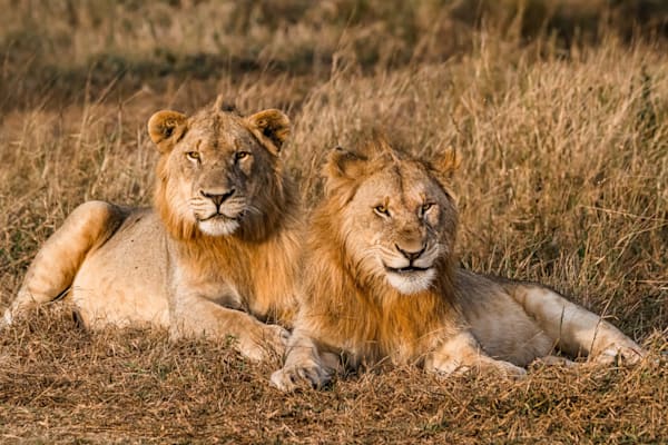 Say Cheeeeese Photography Art | kramkranphoto