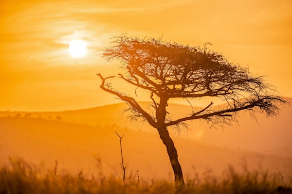 Manyoni Miracles Photography Art | kramkranphoto