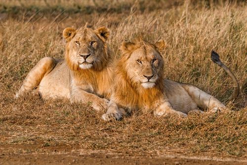 Mdawmdawmdawmdaw7qgraepd6cacehr zcfbfywxu2fyveayeunrgwctqqqltnerwweter6yomfiojy24adow ljj7f22f2vd2s3k0fn 38ezqodftc2xeuhdjufahdziomokxodj3hs jg da6ji5eudq olwagpj5emn5yyxghuf3oavglwbdt7vr1fip8eab waclcqntk ihwewr0fuyheh q d fuhxwwaj2bo1c7bxekwo4ajjbln8 cvmscfjxe5ylbk3vannmtfbci9qrc6u4drjznwssxt5i 0s7xv5xa0dskaracr1uyuf srunhxzbm8ikneb tgcbprocg