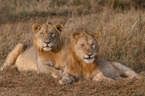 Mdawmdawmdawmdaw7qgraepd6cacehr zcfbfywxu2fyveayeunrgwctqqqltnerwweter6yomfiojy24adow ljj7f22f2vd2s3k0fn 38ezqodftc2xeuhdjufahdziomokxodj3hs jg da6ji5eudq olwagpj5emn5yyxghuf3oavglwbdt7vr1fip8eab waclcqntk ihxewomp5grwl q d fuhxwwaj3bo1c7bxekwo4ajjbln8 cvmscfjxe5ylbk3vannmtfbci9qrc6u4drjznwssxt5i 0s7xv5xa0dskaracr1uyuf sru3hmhmorc5iilitmgztwrja