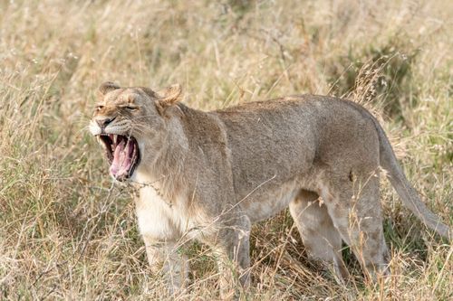 Mdawmdawmdawmdaw7qgraepd6cacehr zcfbfywxu2fyveayeunrgwctqqqltnerwweter6yomfiojy24adow ljj7f22f2vd2s3k0fn 38ezqodftc2xeuhdjufahdziomokxodj3hs jg da6ji5eudq olwagpj5emn5yyxghuf3oavglwbdt7vr1fip8eab waclcqntk isx4t79uetvfnmrpn4eepzzgac3qzulbujwuxwsb3 frtg7cd1us swvi zmb2lrs3ltwwqo8gdy u x8rzjhrshl4mldi b98qb9g vmmzzynro8atelunfanz64rpo6y8urlqtb ag f