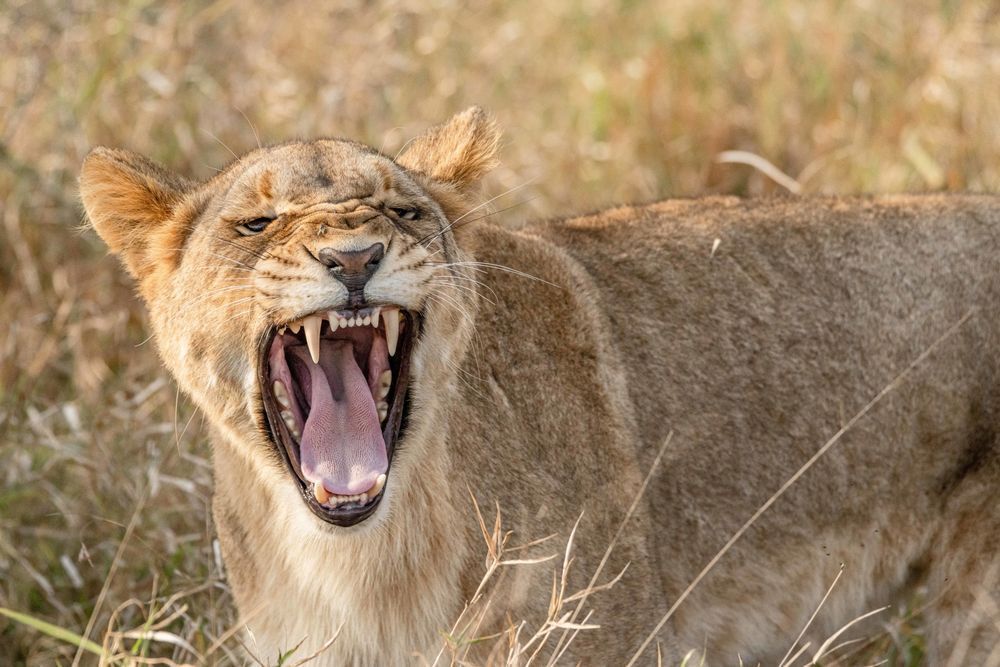 I Dont Want No Problems Photography Art | kramkranphoto