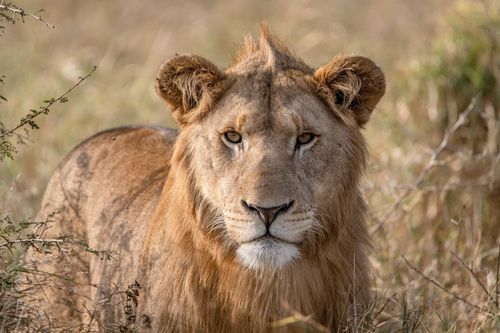 Mdawmdawmdawmdaw7qgraepd6cacehr zcfbfywxu2fyveayeunrgwctqqqltnerwweter6yomfiojy24adow ljj7f22f2vd2s3k0fn 38ezqodftc2xeuhdjufahdziomokxodj3hs jg da6ji5eudq olwagpj5emn5yyxghuf3oavglwbdt7vr1fip8eab waclcqntk itw4dx9ukihlyy9vn4eepzzgac3q7qlbujwuxwsb3 frtg7cd1us swvi zmb2lrs3ltwwqo8gdy u x8rzjhrshl4mldi b98qb9g vmmzzynro8atelunfcu5mhtfdxbdrwbxmgcjpjb