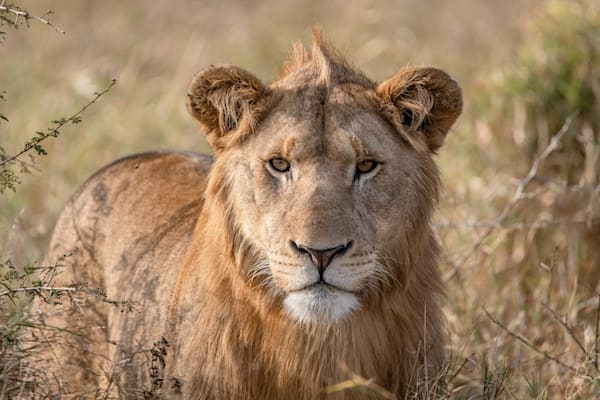 Look Into My Eyes Photography Art | kramkranphoto