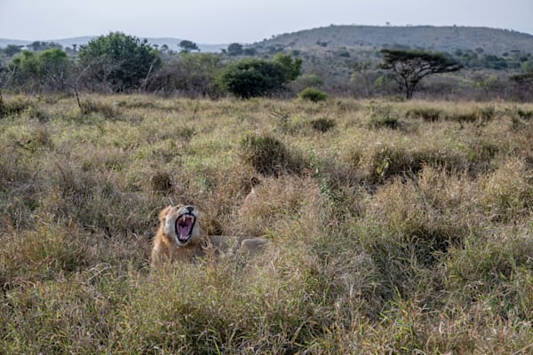 Manyoni Photography Art | kramkranphoto