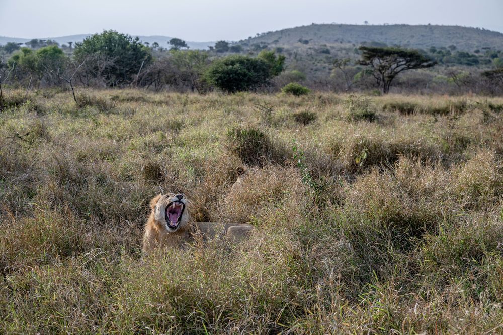 Manyoni Photography Art | kramkranphoto