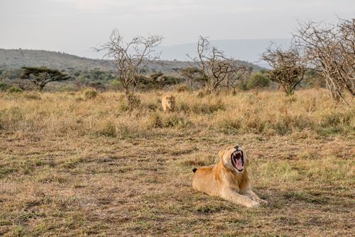 Mdawmdawmdawmdaw7qgraepd6cacehr zcfbfywxu2fyveayeunrgwctqqqltnerwweter6yomfiojy24adow ljj7f22f2vd2s3k0fn 38ezqodftc2xeuhdjufahdziomokxodj3hs jg da6ji5eudq olwagpj5emn5yyxghuf3oavglwbdt7vr1fip8eab waclcqntk ityot69vggq0co8vn4eepzzgac3qnslbujwuxwsb3 frtg7cd1us swvi zmb2lrs3ltwwqo8gdy u x8rzjhrshl4mldi b98qb9g vmmzzynro8atelunfdlx67flqni6gtkwb5 ghpm