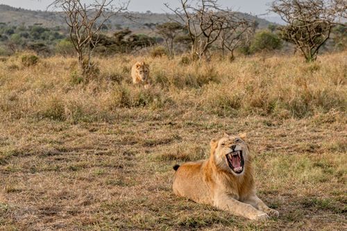 Mdawmdawmdawmdaw7qgraepd6cacehr zcfbfywxu2fyveayeunrgwctqqqltnerwweter6yomfiojy24adow ljj7f22f2vd2s3k0fn 38ezqodftc2xeuhdjufahdziomokxodj3hs jg da6ji5eudq olwagpj5emn5yyxghuf3oavglwbdt7vr1fip8eab waclcqntk ityot99vudgvs 9 n4eepzzgac3q plbujwuxwsb3 frtg7cd1us swvi zmb2lrs3ltwwqo8gdy u x8rzjhrshl4mldi b98qb9g vmmzzynro8atelunfdtd6qgnltd7quwmqcnfjib