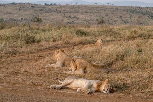 Mdawmdawmdawmdaw7qgraepd6cacehr zcfbfywxu2fyveayeunrgwctqqqltnerwweter6yomfiojy24adow ljj7f22f2vd2s3k0fn 38ezqodftc2xeuhdjufahdziomokxodj3hs jg da6ji5eudq olwagpj5emn5yyxghuf3oavglwbdt7vr1fip8eab waclcqntk iawip69vblhucr pn4eepzzgac2anplbujwuxwsb3 frtg7cd1us swvi zmb2lrs3ltwwqo8gdy u x8rzjhrshl4mldi b98qb9g vmmzzynro8atelunfcpd gle0xs wfjno 7du07