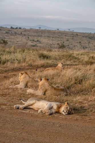 Mdawmdawmdawmdaw7qgraepd6cacehr zcfbfywxu2fyveayeunrgwctqqqltnerwweter6yomfiojy24adow ljj7f22f2vd2s3k0fn 38ezqodftc2xeuhdjufahdziomokxodj3hs jg da6ji5eudq olwagpj5emn5yyxghuf3oavglwbdt7vr1fip8eab waclcqntk iawit 9uaehlzo6fn4eepzzgac2anolbujwuxwsb3 frtg7cd1us swvi zmb2lrs3ltwwqo8gdy u x8rzjhrshl4mldi b98qb9g vmmzzynro8atelunfazo3zx77dt1669d xnaeh8