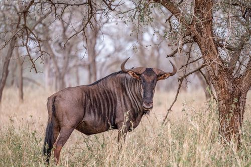 Mdawmdawmdawmdaw7qgraepd6cacehr zcfbfywxu2fyveayeunrgwctqqqltnerwweter6yomfiojy24adow ljj7f22f2vd2s3k0fn 38ezqodftc2xeuhdjufahdziomokxodj3hs jg da6ji5eudq olwagpj5emn5yyxghuf3oavglwbdt7vr1fip8eab waclcqntk ibwib99vimsuhk7 n4eepzzgac2avrlbujwuxwsb3 frtg7cd1us swvi zmb2lrs3ltwwqo8gdy u x8rzjhrshl4mldi b98qb9g vmmzzynro8atelunfdvlbpznjt3cngh0rr1424j