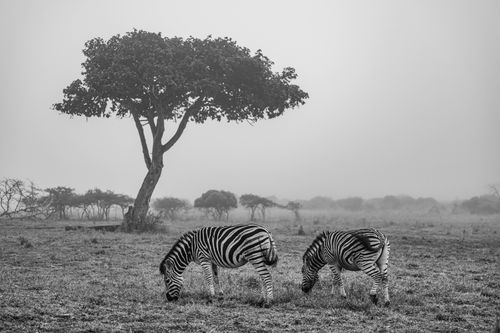 Mdawmdawmdawmdaw7qgraepd6cacehr zcfbfywxu2fyveayeunrgwctqqqltnerwweter6yomfiojy24adow ljj7f22f2vd2s3k0fn 38ezqodftc2xeuhdjufahdziomokxodj3hs jg da6ji5eudq olwagpj5emn5yyxghuf3oavglwbdt7vr1fip8eab waclcqntk icw4p 9vense078fn4eepzzgac2avolbujwuxwsb3 frtg7cd1us swvi zmb2lrs3ltwwqo8gdy u x8rzjhrshl4mldi b98qb9g vmmzzynro8atelunfb g5koklvv4a84ks8slhfc