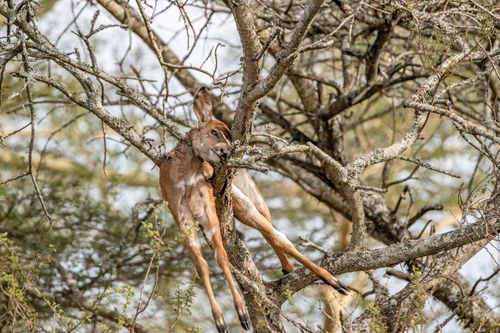 Mdawmdawmdawmdaw7qgraepd6cacehr zcfbfywxu2fyveayeunrgwctqqqltnerwweter6yomfiojy24adow ljj7f22f2vd2s3k0fn 38ezqodftc2xeuhdjufahdziomokxodj3hs jg da6ji5eudq olwagpj5emn5yyxghuf3oavglwbdt7vr1fip8eab waclcqntk idx4z89vefva5g6pn4eepzzgac2attlbujwuxwsb3 frtg7cd1us swvi zmb2lrs3ltwwqo8gdy u x8rzjhrshl4mldi b98qb9g vmmzzynro8atelunfaaiftwgvfjkndttclyyu6p