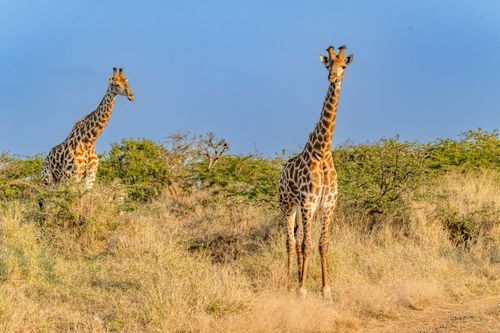 Mdawmdawmdawmdaw7qgraepd6cacehr zcfbfywxu2fyveayeunrgwctqqqltnerwweter6yomfiojy24adow ljj7f22f2vd2s3k0fn 38ezqodftc2xeuhdjufahdziomokxodj3hs jg da6ji5eudq olwagpj5emn5yyxghuf3oavglwdfc58dnmzzsykti oobovazqo4dwuw4zogxq1p q d fuhxwwqk3ro1c7bxekwo4ajjbln8 cvmscfjxe5ylbk3vannmtfbci9qrc6u4drjznwssxt5i 0s7xv5xa0dskaracr1uyuf srumuyngcwnfmcu uslqiqsia